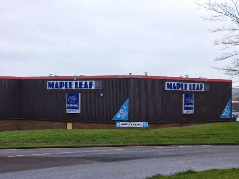 Maple Leaf Subaru (Service & Parts) photo